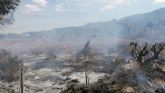 Incendio en terreno agrcola abandonado en El Caarico