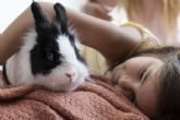 Bifeedoo explica qu� cuidados necesitan los conejos mascota