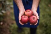La manzana Cosmic Crisp llega a Espana y establece est�ndares completamente nuevos