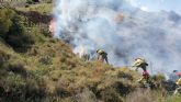 Efectivos del Plan Infomur extinguen un incendio forestal en Portman
