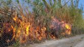 Efectivos adscritos al Plan Infomur se dirigen a un incendio de cañas y matorral en el margen del Río cerca de la presa del Río en Cieza