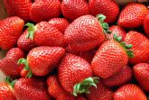 Baor Products informa sobre la disminuci�n de la cosecha de la fresa 2023 en Espana