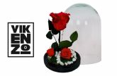 Flores preservadas: el regalo perfecto para el D�a de la Madre por Vikenzo Nature