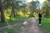 El Perro Feliz, la alternativa de garantas para el cuidado de los peludos en Barcelona Sur y Tarragona