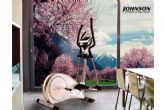 Adquirir una elptica en las rebajas de primavera de la tienda Johnson Fitness &Wellness