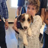 La importancia de cuidar a la familia con ninos hospitalizados, seg�n la Fundaci�n Infantil Ronald McDonald