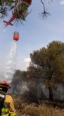 Conato de incendio forestal declarado en las inmediaciones de La Zarza, Abanilla