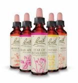 Las Flores de BachR Originales ayudan a gestionar las emociones