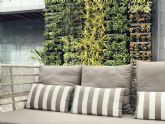 Los beneficios de las plantas de pared colgantes de JardinVertical.es