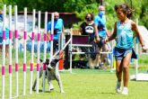 El club L'Almozara Can Bosc y sus clases de agility junior para ninos a partir de 6 anos