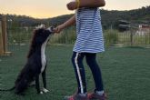 ?Cmo educar a los cachorros?, con el centro de entrenamiento canino L'Almozara Can Bosc