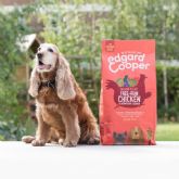 El 61% de los espanoles cambiara la marca de comida de su mascota si conociera mejor su composicin, segn una encuesta de Edgard & Cooper