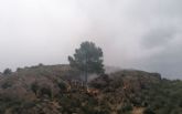 Conato de incendio forestal en la Sierra de Santa Ana, Jumilla