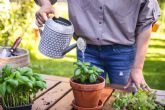 La forma de cuidar las plantas en verano, con Rosistirem