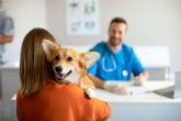 La Ley de Bienestar Animal impulsa la contratacin de seguros para perros