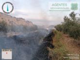 Controlado el conato de incendio forestal declarado en el paraje La Herrena, Mula