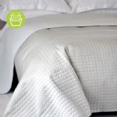 Pressto abre tres nuevas tintoreras en Zaragoza