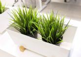 Jard�nVertical comercializa un cat�logo con m�s de 20 opciones en plantas artificiales realistas
