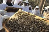 Acerca del curso de apicultura en Espana de Cursos Apicultura
