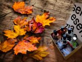 Esenzzia senala cu�les son los aromas m�s encantadores para la celebraci�n de Halloween