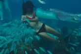 Visitar las playas de las Islas Caimn de la mano de Cayman Ocean Adventures