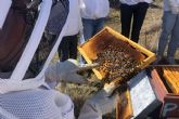 Cursos Apicultura ofrece curso de alimentacin apcola