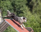 Talleres Murillo apoya eventos sociales en Monz�n