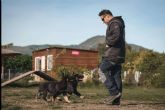 Cuidado, educaci�n y adiestramiento para mascotas con el centro canino Monte Ida