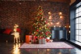Navet cuenta con árboles de Navidad naturales para la venta