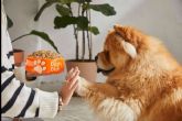 Revolucionando la nutrici�n canina; Dogfy Diet lidera con soluciones naturales para la alimentaci�n de perros