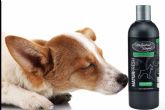 Magistral Royal presenta Natur Fresh; el champ natural repelente para perros y gatos