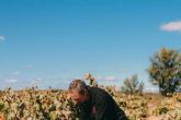 Historia y sostenibilidad en la producción de vino de la mano de Bodegas Vegalfaro