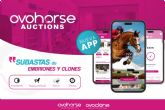 La App de subastas Ovohorse Auctions lanza un embri�n de 'Chacco Blue'