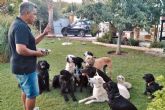 Natural Leading. La revoluci�n en la educaci�n canina que transforma vidas