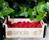 Sincla destaca en diseno y calidad con sus cajas de madera para fruta y verdura