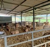 Trece nuevas explotaciones agrcolas en Bizkaia guiadas por LORRA