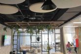 Absotec provee soluciones ac�sticas sostenibles para espacios interiores