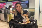 Pet World Travel se especializa en el traslado de mascotas en Espana, Europa, Estados Unidos y Latinoam�rica