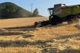 Terminar con adelanto de semanas la Cosecha de Cebada de 2024