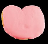 Viena Capellanes y GEPAC renuevan su compromiso con 5.000 palmeras solidarias en favor a los pacientes con c�ncer de mama