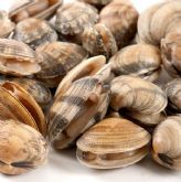 La almeja fina de Corea aporta nutrientes energ�ticos y saludables