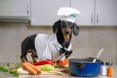 Dogfy Diet ofrece dietas especializadas para apoyar a perros con enfermedades cr�nicas y renales