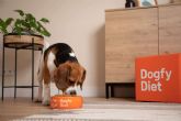 La comida casera para perros llega a domicilio con Dogfy Diet