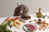 Dogfy Diet, la soluci�n en comida natural para perros en Espana respaldada por expertos