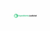 Expediente judicial: la innovacin contra el fraude en internet y la suplantacin de identidad