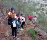 El Turismo Activo y Ecoturismo en Canarias: pilar estrat�gico para un modelo tur�stico sostenible