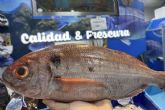 Pescader�a Younes Ceuta; tradici�n y frescura en pescados y mariscos locales