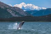 Viaje completo por Alaska con Holland America Line; Una experiencia inolvidable