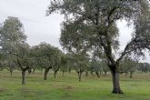 El G.O. CAPRICORNIO afronta su �ltimo ano con innovaciones clave para la sostenibilidad de la dehesa