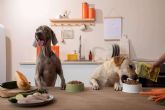 Tendencias actuales en alimentacin natural para perros